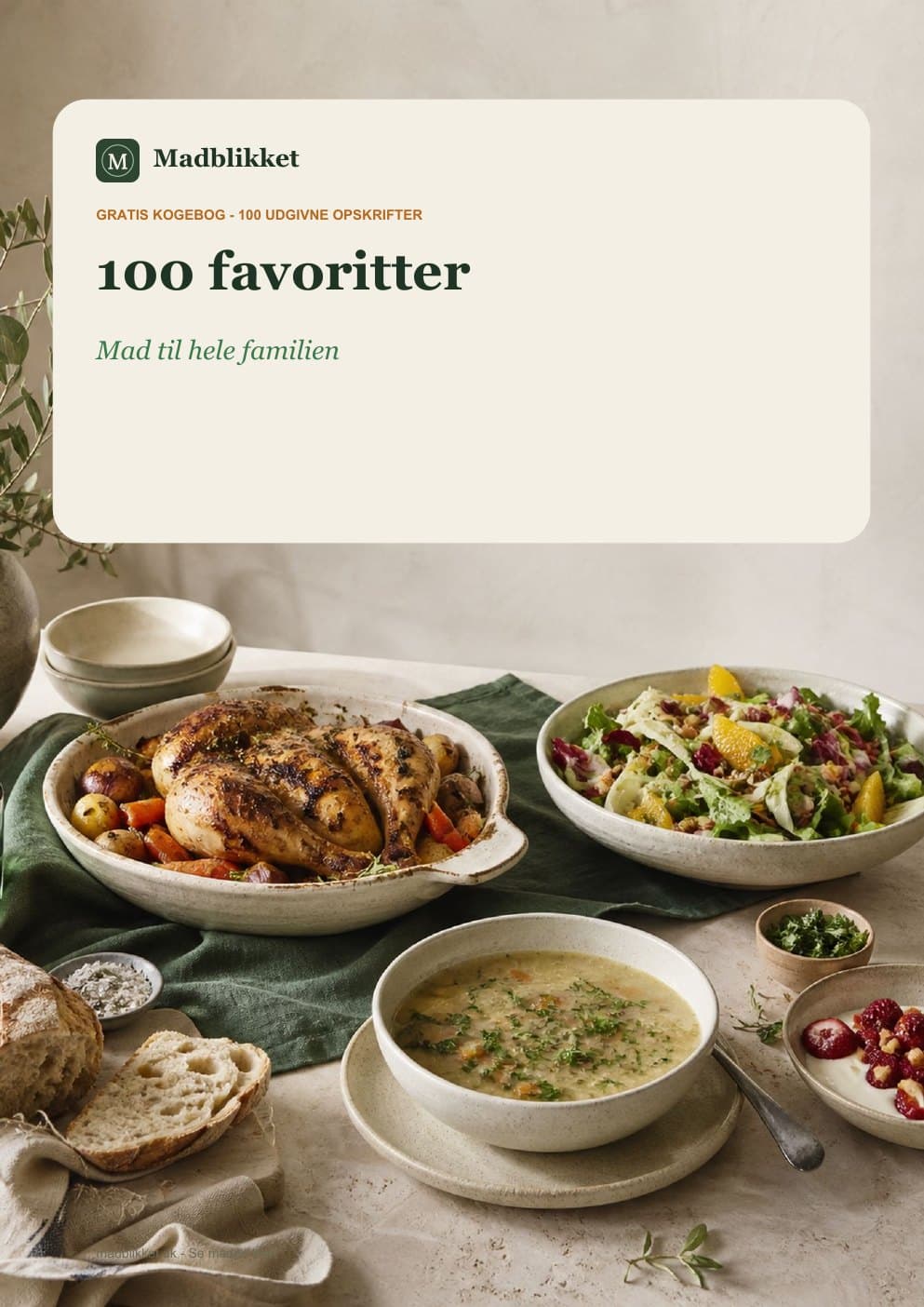 Forside til 100 favoritter