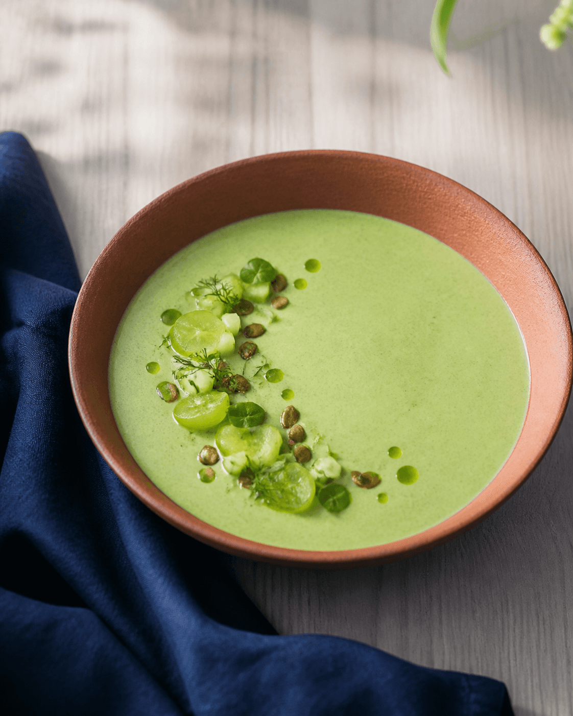 Lys grøn gazpacho af agurk, grønne druer, peberfrugt og avocado med agurketern, druehalvdele, dild, basilikumolie og ristede græskarkerner i terrakottaskål