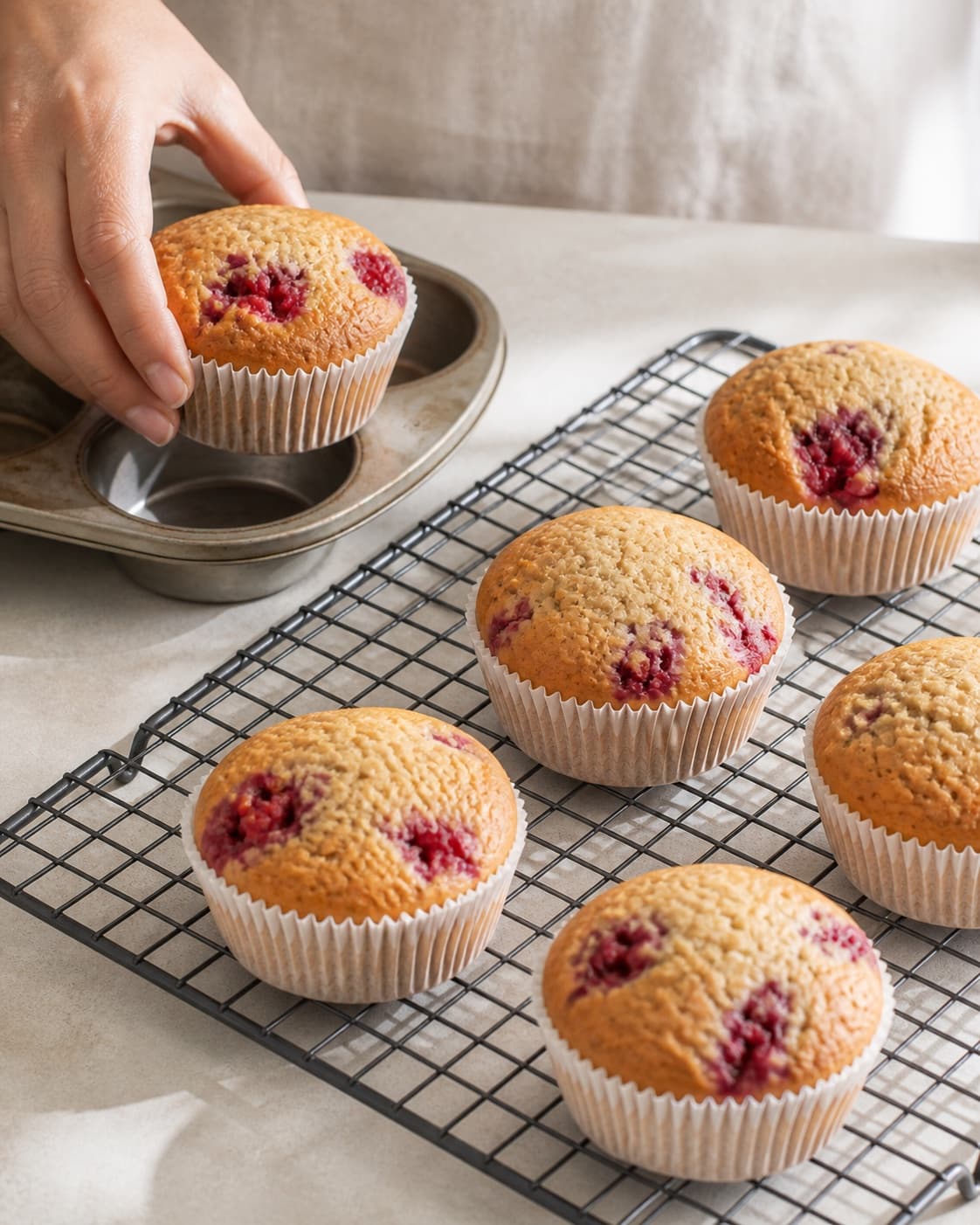 Golden raspberry muffins cooling individually on a wire rack under tilberedningen af hindbærmuffins