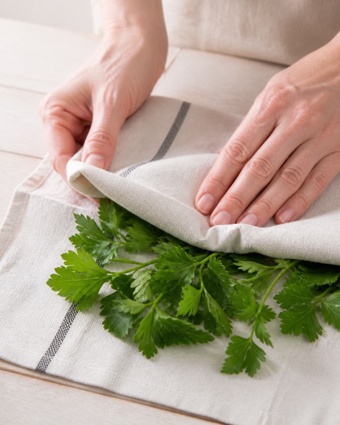 Flat leaf parsley being washed and dried thoroughly before pesto making under tilberedningen af persillepesto