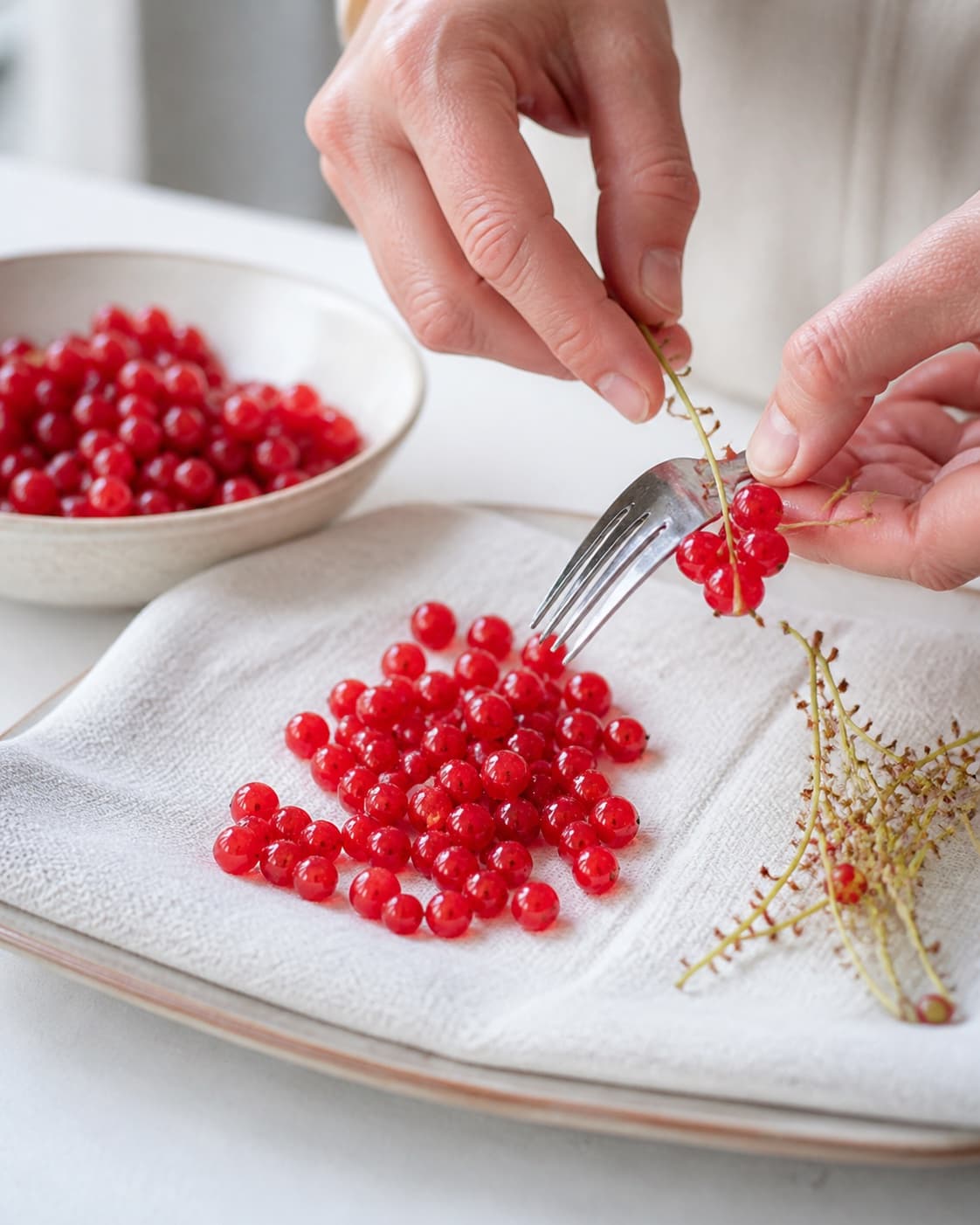 Fresh redcurrants being stripped from stems washed and dried carefully under tilberedningen af rysteribs