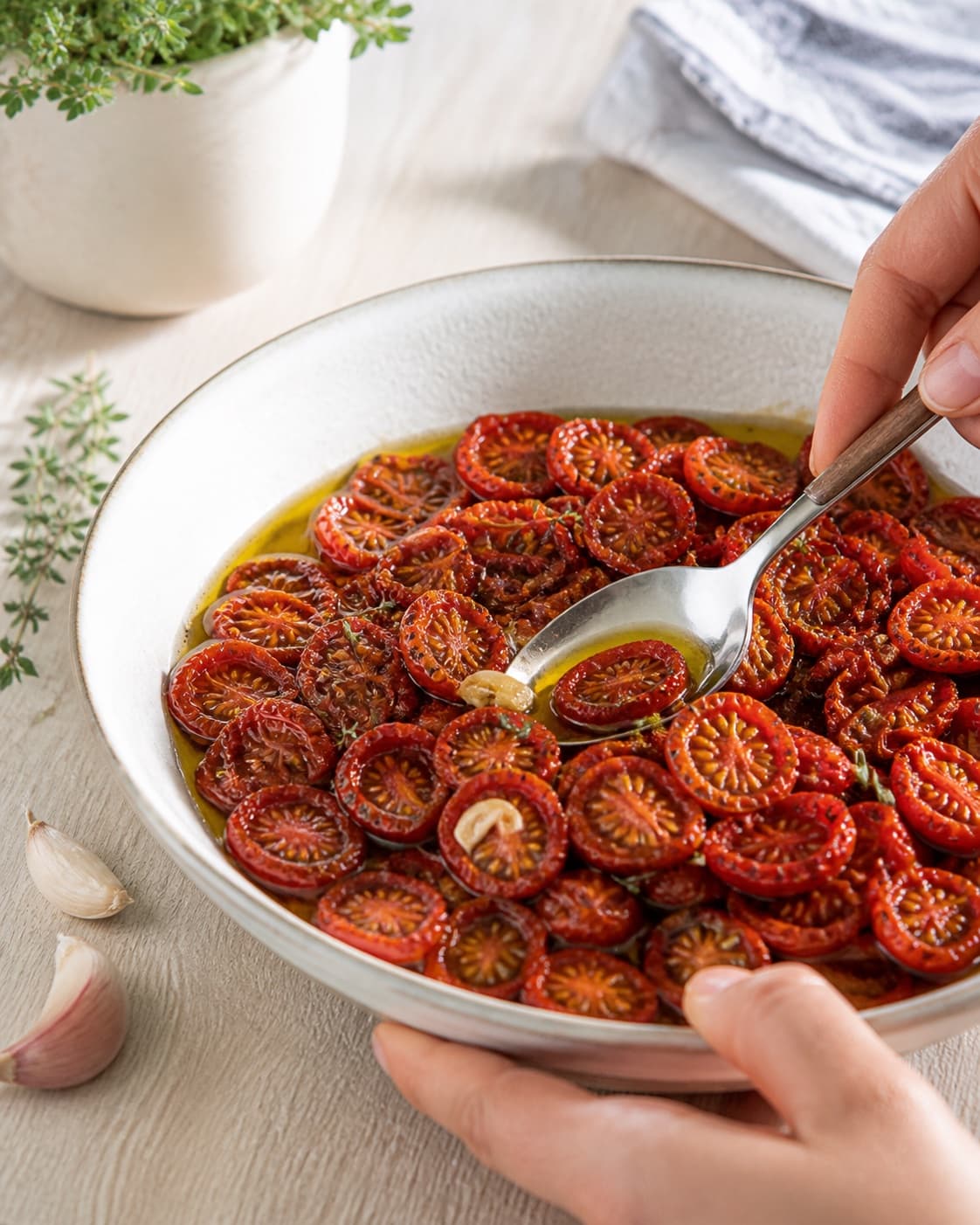 Slow roasted tomatoes cooling in one layer before refrigerated storage with their seasoned oil under tilberedningen af langtidsbagte og ovntørrede tomater