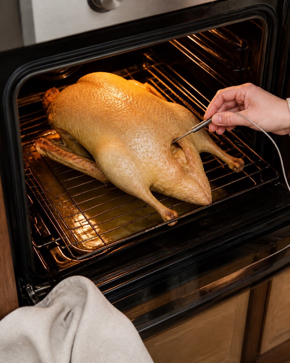 One whole duck slow-roasting breast-up on a rack, pale-golden taut skin and rendered fat below, thermometer approaching the thigh joint under tilberedningen af andesteg langtidsstegt