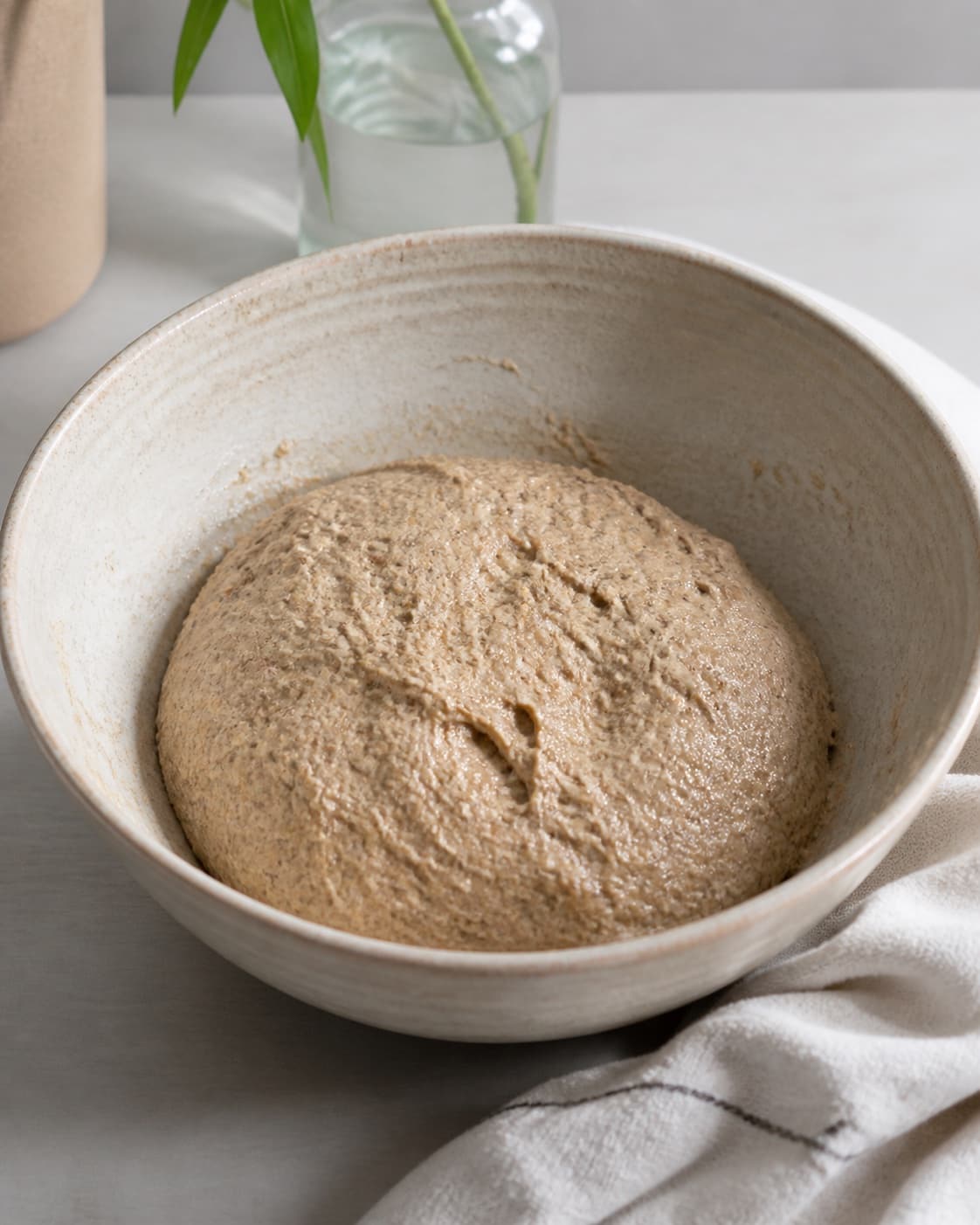 One sticky coarse rye roll dough fully mixed in a bowl with no dry flour pockets, no shaped rolls or topping oats under tilberedningen af rugboller