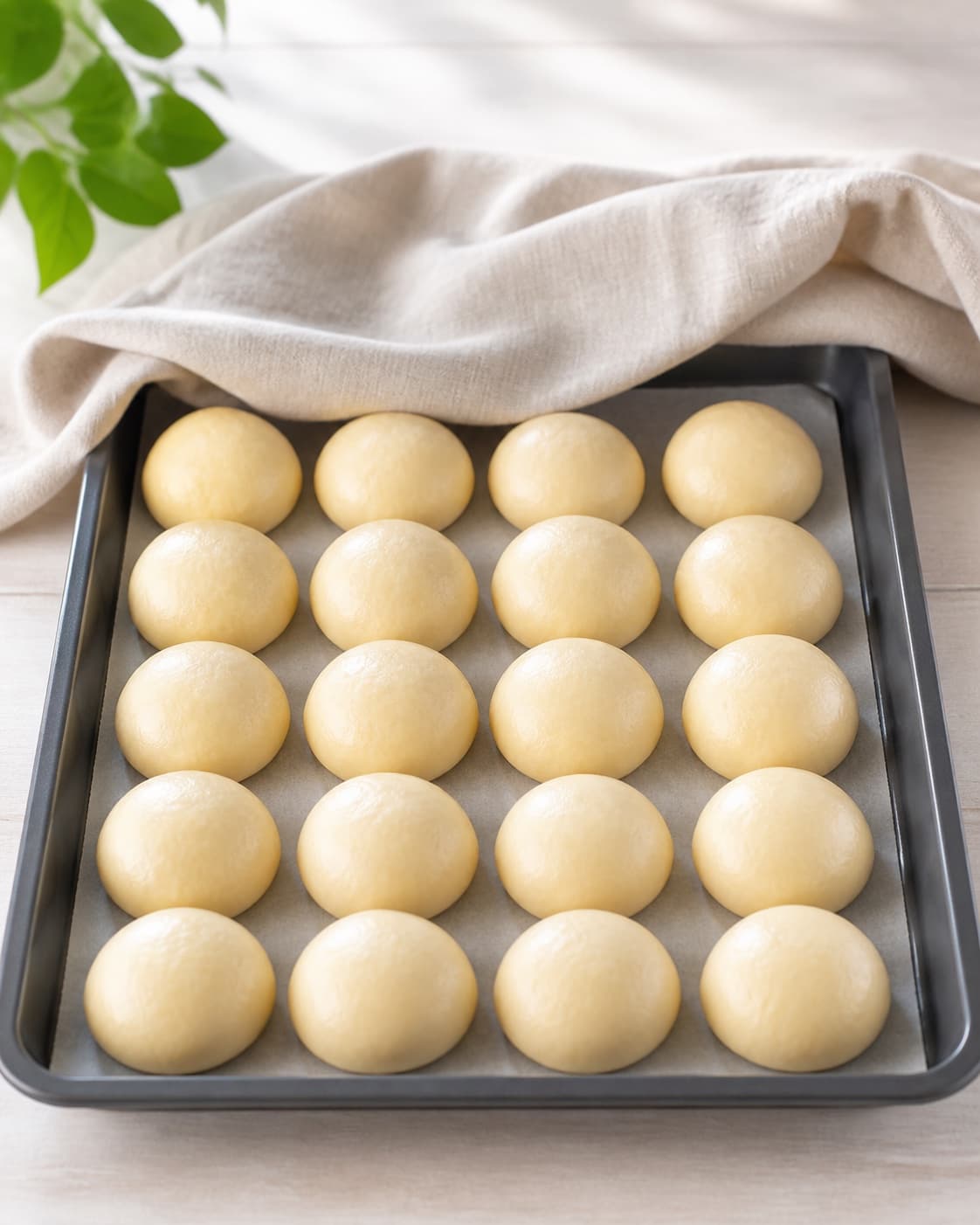 One baking tray holding exactly twenty evenly sized pale risen mini brioche buns beneath a lifted cloth, no egg wash sesame browning or burger filling under tilberedningen af sliders - miniburgere