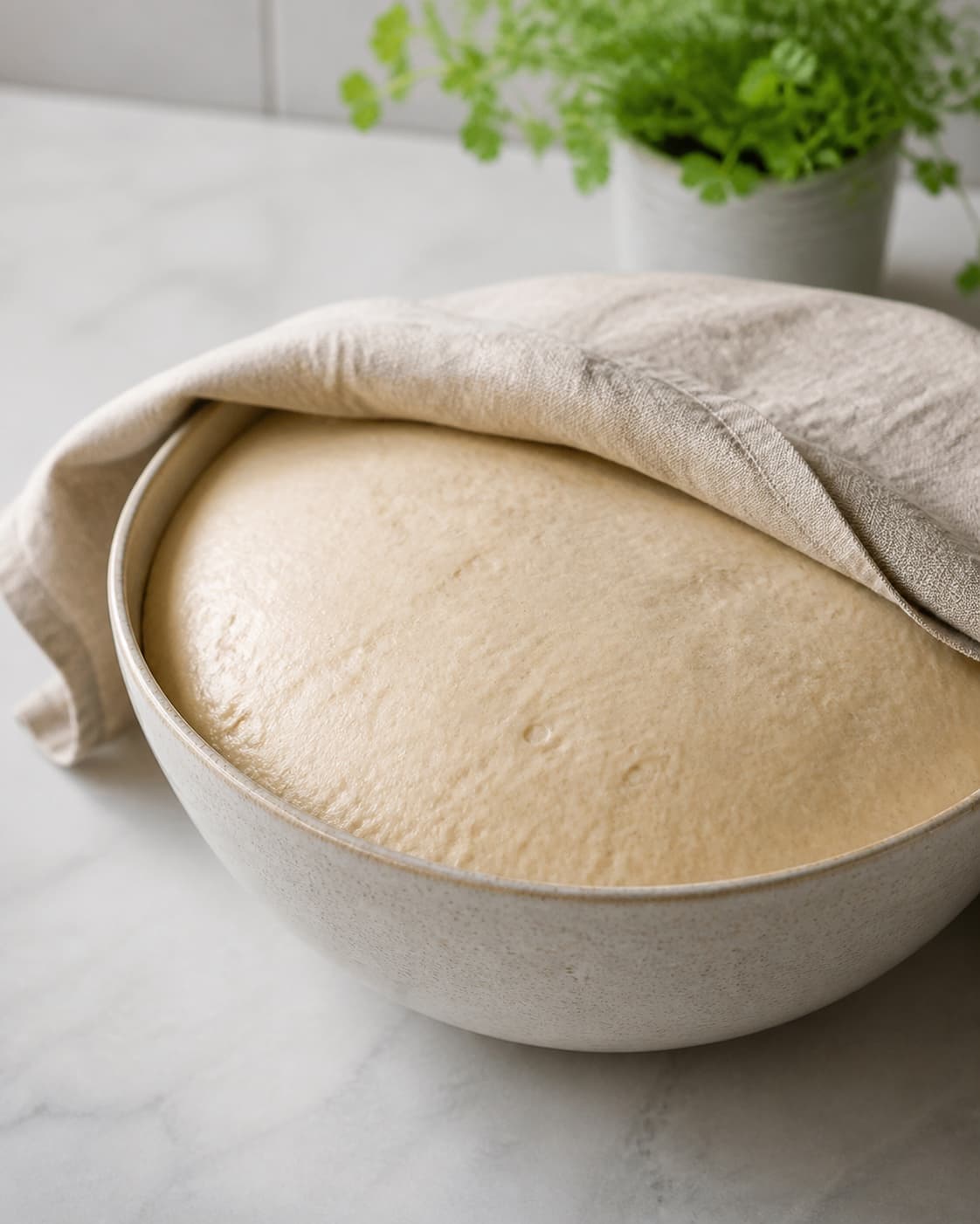 One single photorealistic instructional frame of elastic risen dough in one covered bowl for Burgerboller, featuring hvedemel, gær, mælk, with only the named equipment and no unrelated food, text, logos or packaging under tilberedningen af burgerboller