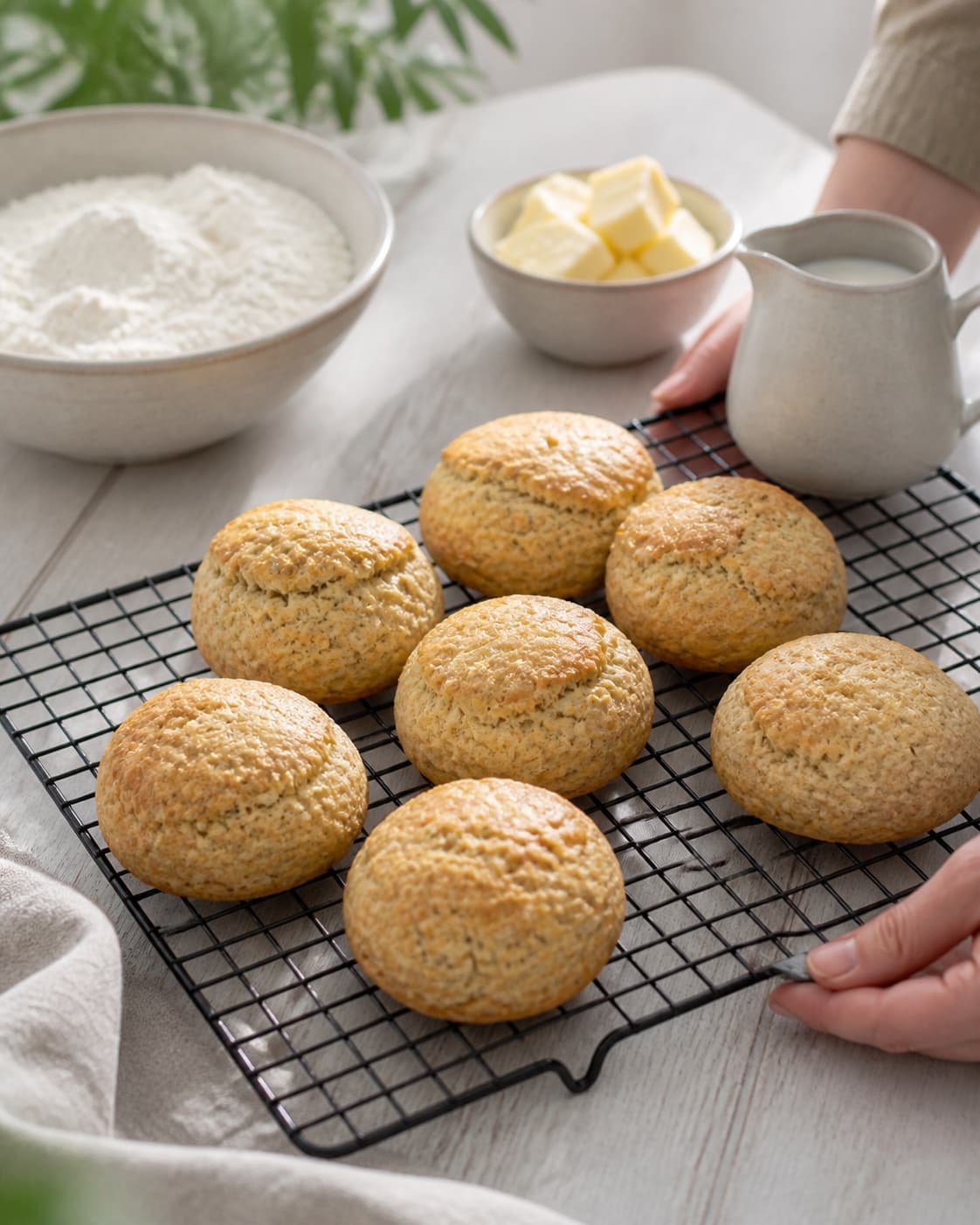 One single photorealistic instructional frame of freshly baked golden bread cooling on one rack for Scones, featuring hvedemel, smør, mælk, with only the named equipment and no unrelated food, text, logos or packaging under tilberedningen af scones