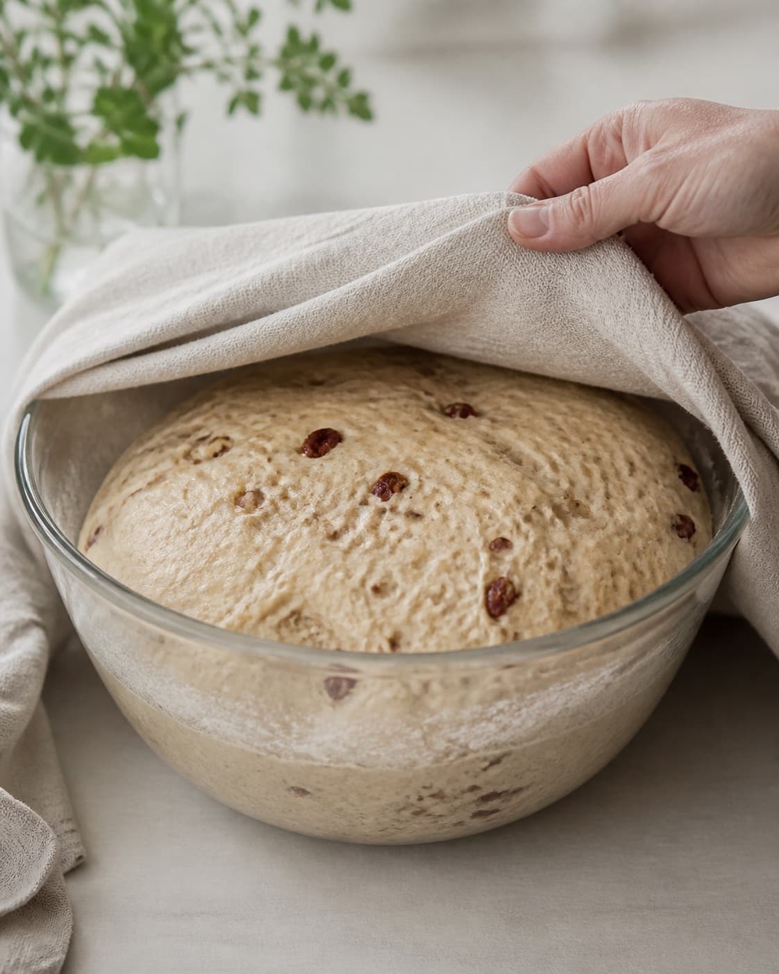 One single photorealistic instructional frame of elastic risen dough in one covered bowl for Madbrød med soltørrede tomater, chili og parmesan, featuring hvedemel, gær, soltørrede tomater, with only the named equipment and no unrelated food, text, logos or packaging under tilberedningen af madbrød med soltørrede tomater, chili og parmesan