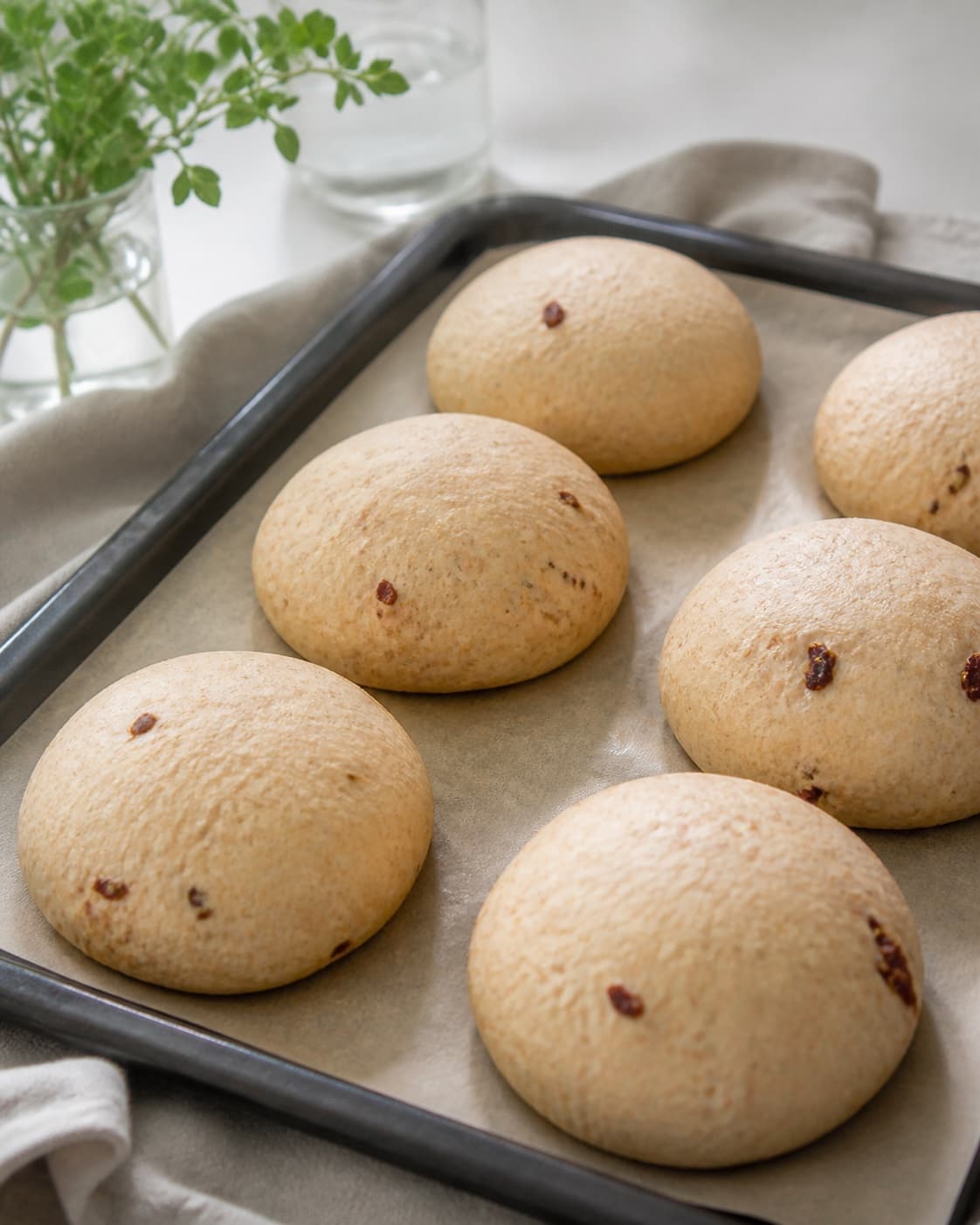 One single photorealistic instructional frame of shaped pale dough pieces visibly risen on one baking tray for Madbrød med soltørrede tomater, chili og parmesan, featuring hvedemel, gær, soltørrede tomater, with only the named equipment and no unrelated food, text, logos or packaging under tilberedningen af madbrød med soltørrede tomater, chili og parmesan