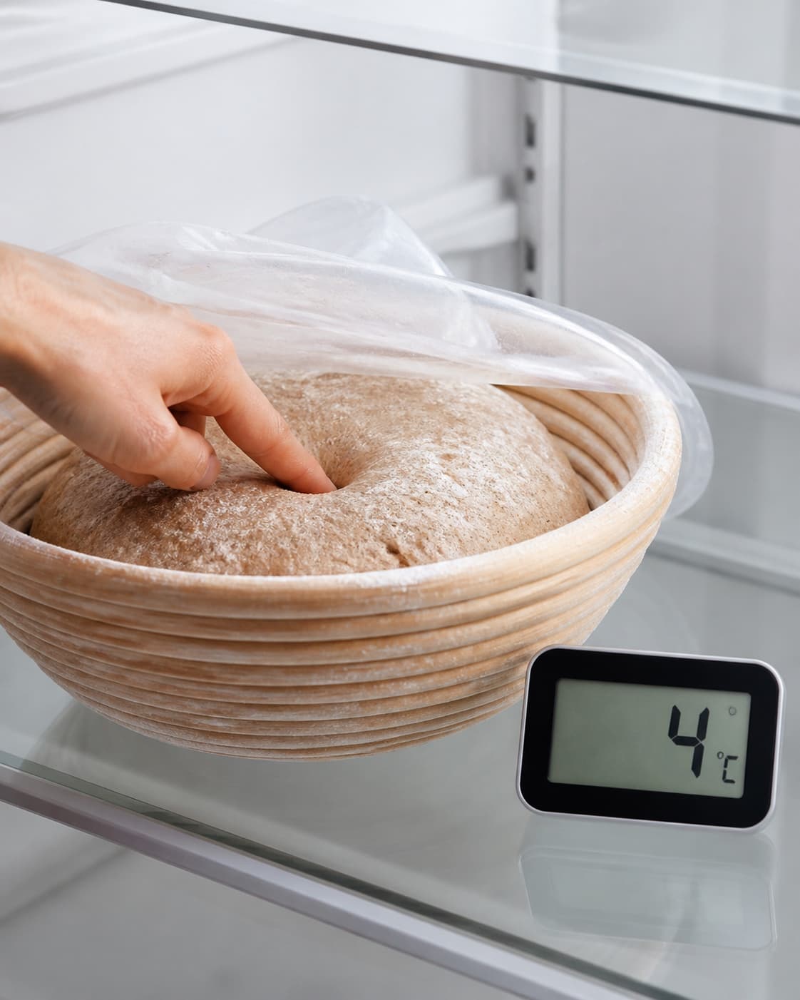 Én luftig rund boule koldhæver i en rismeldrysset hævekurv ved tydelige 4 °C, mens et let fingertryk kontrollerer den spændstige dej