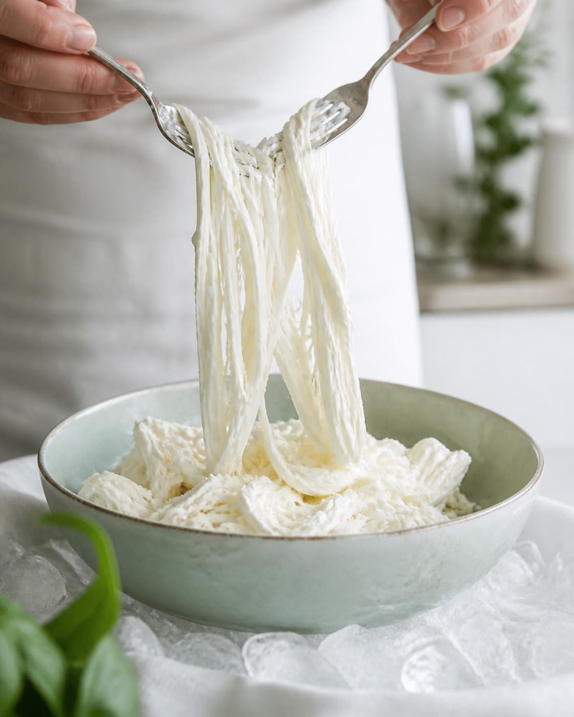Kold mozzarella trævles med to gafler til lange smalle mælkehvide fibre over en skål på is
