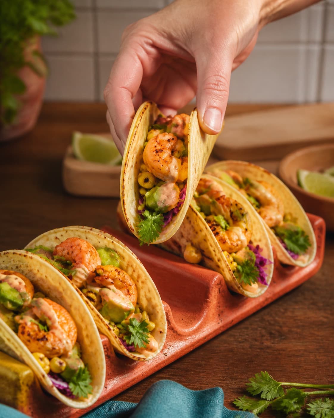 rejetacosene anrettes luftigt med varme tortillas og koriander under tilberedningen af rejetacos med hvidløg, majssalsa og sprød kål