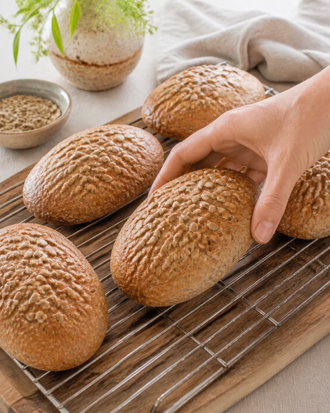 sandwichbollerne afkøler med gylden tør skorpe under tilberedningen af fuldkornssandwichboller med havre og solsikkekerner