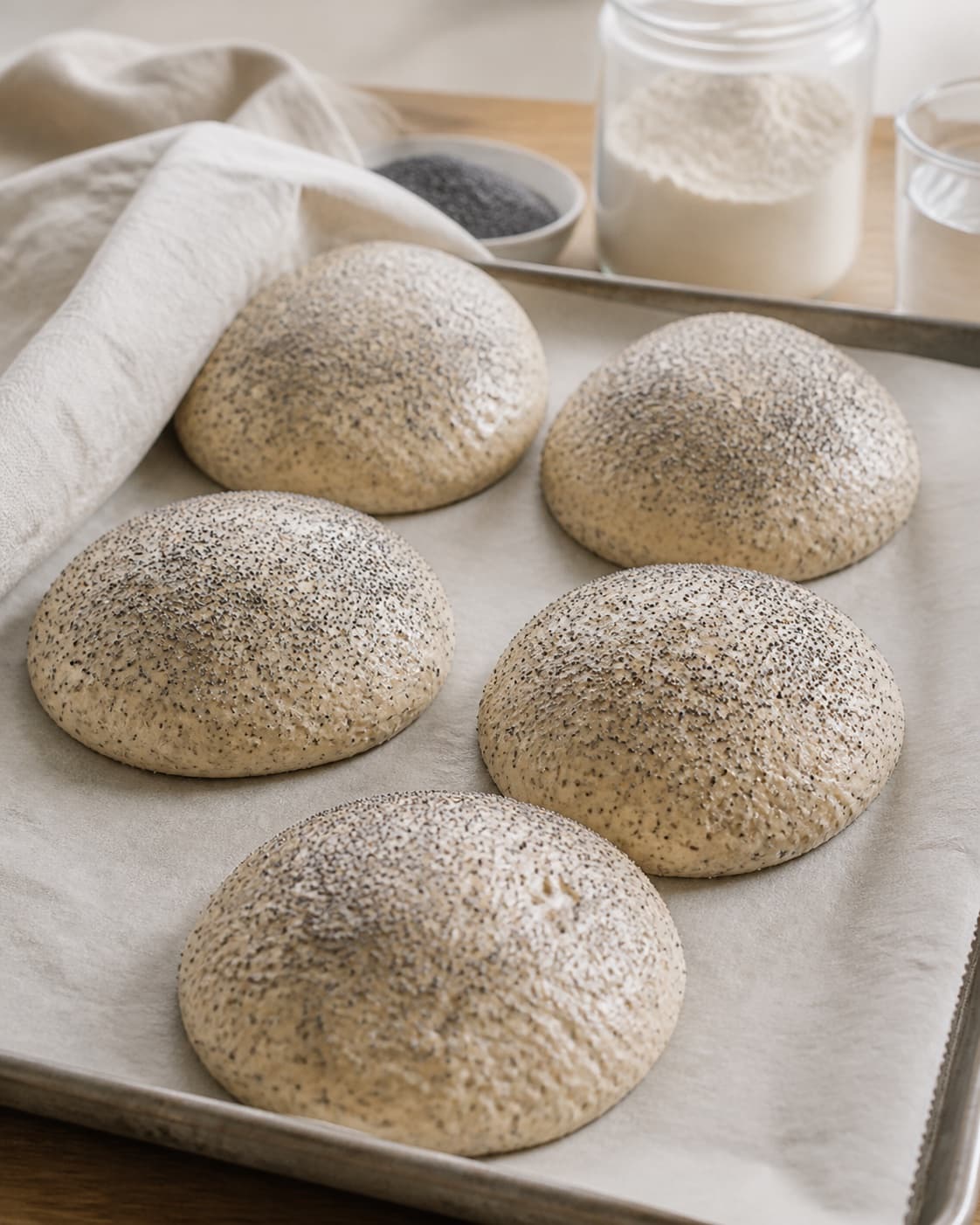 Proofed airy dough for surdejshåndværker rundstykke med blå birkes with visible fermentation bubbles under tilberedningen af surdejshåndværker rundstykke med blå birkes