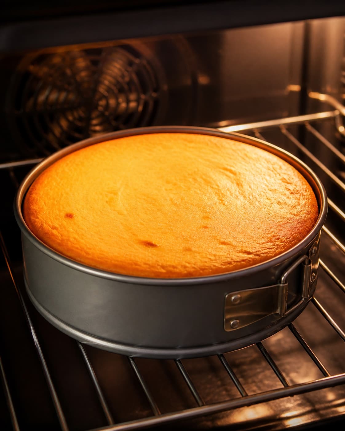 cheesecake med havtorn og skyr baking until golden with a visibly set centre under tilberedningen af cheesecake med havtorn og skyr