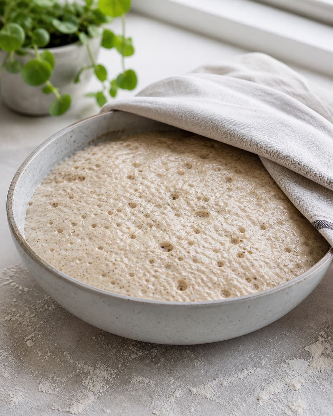 Proofed airy dough for koldhævede boller with visible fermentation bubbles under tilberedningen af koldhævede boller