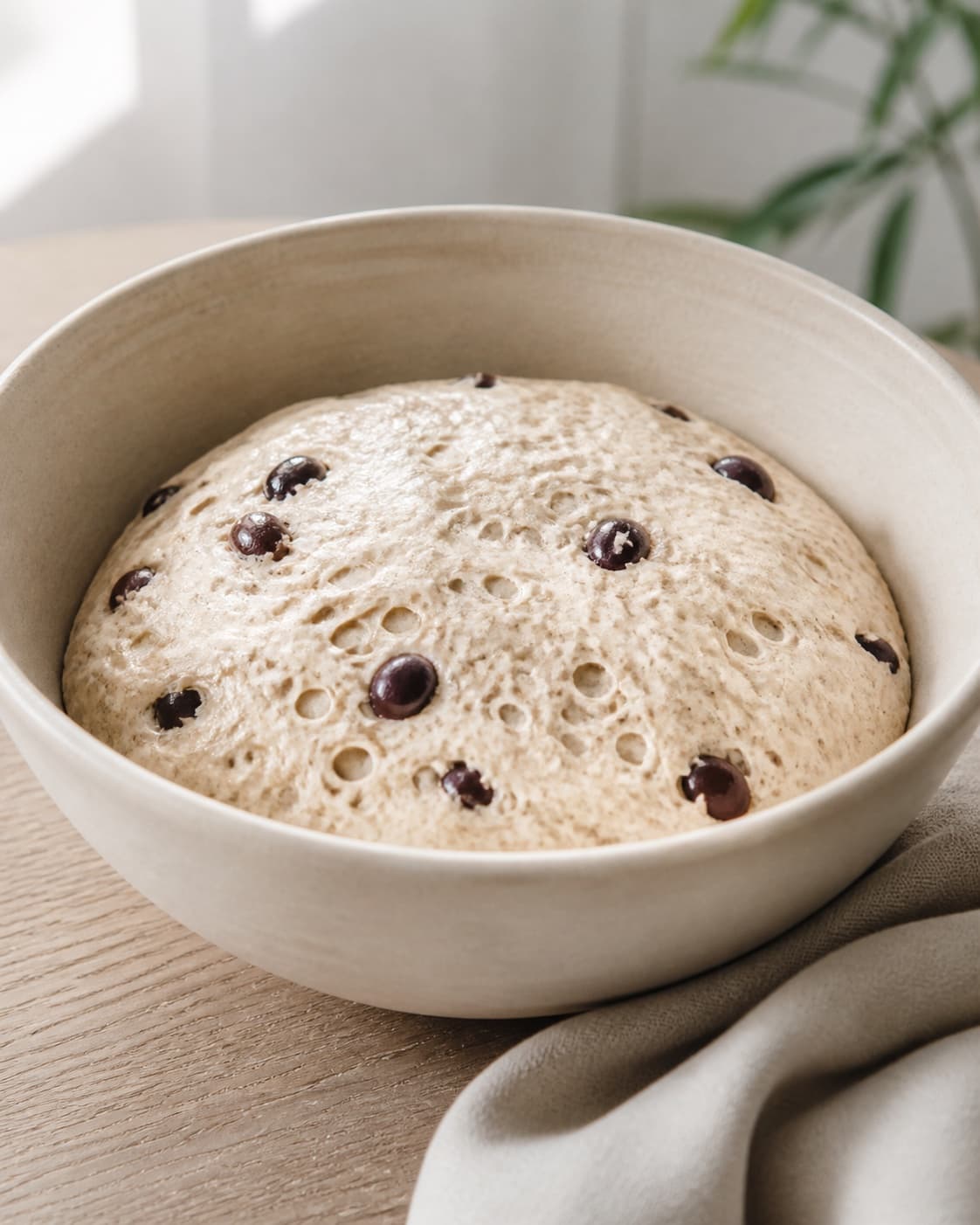 Proofed airy dough for olivenbrød bagt i gryde with visible fermentation bubbles under tilberedningen af olivenbrød bagt i gryde