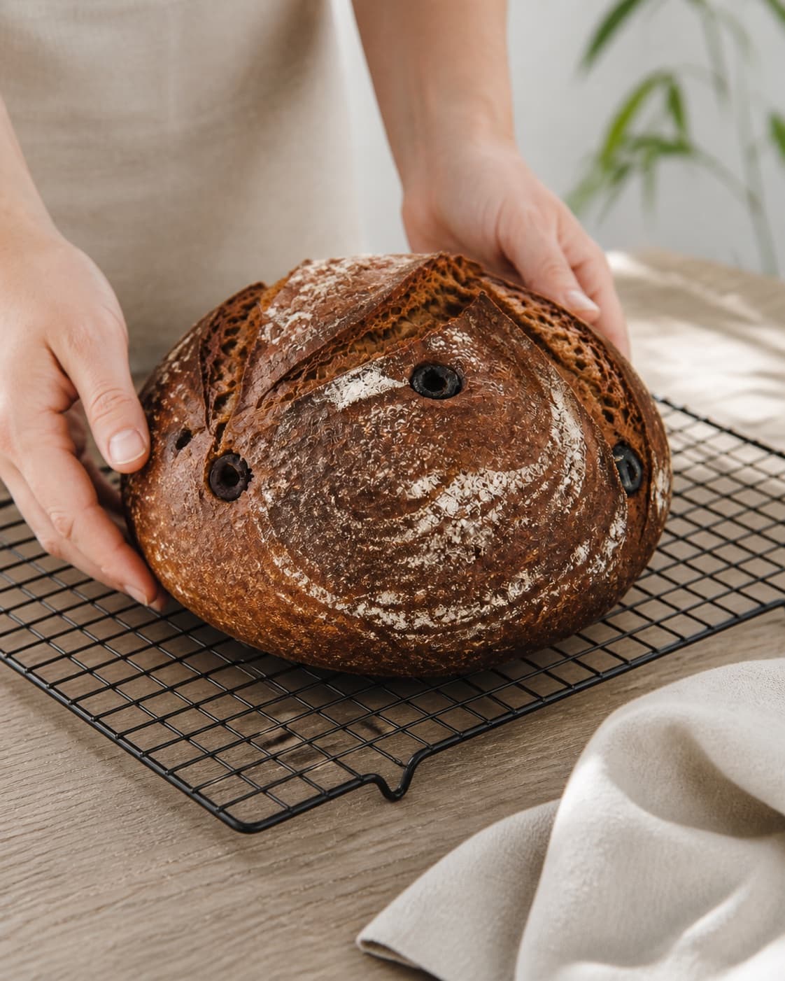 Golden baked olivenbrød bagt i gryde cooling on a wire rack under tilberedningen af olivenbrød bagt i gryde
