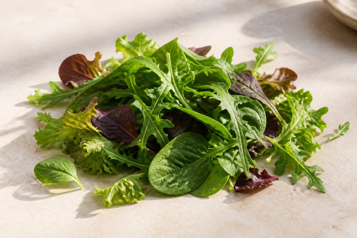 Blandede salatblade fotograferet i naturligt nordisk køkkenlys