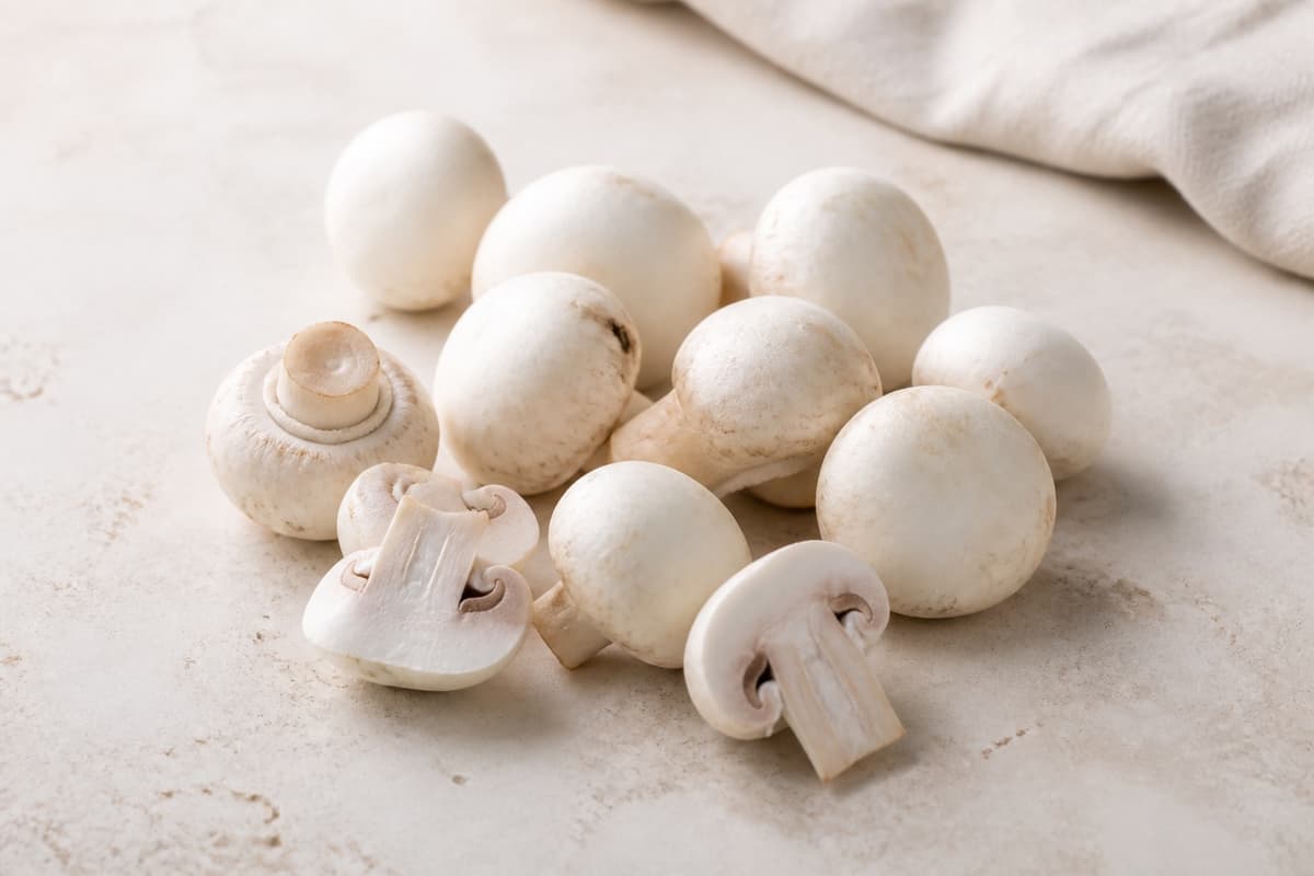 Champignon fotograferet i naturligt nordisk køkkenlys