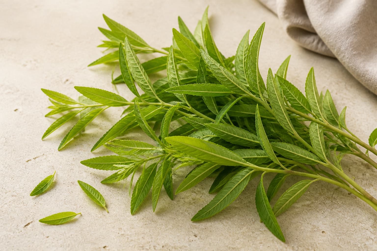 Citronverbena fotograferet i naturligt nordisk køkkenlys