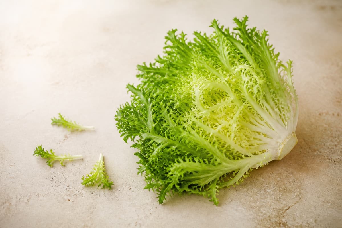 Frisée fotograferet i naturligt nordisk køkkenlys