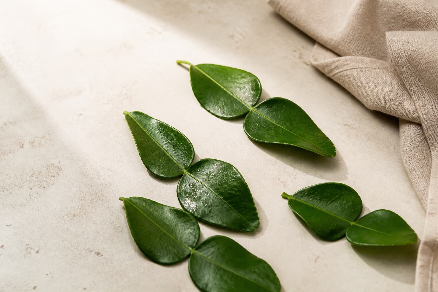 Kaffirlimeblade fotograferet i naturligt nordisk køkkenlys