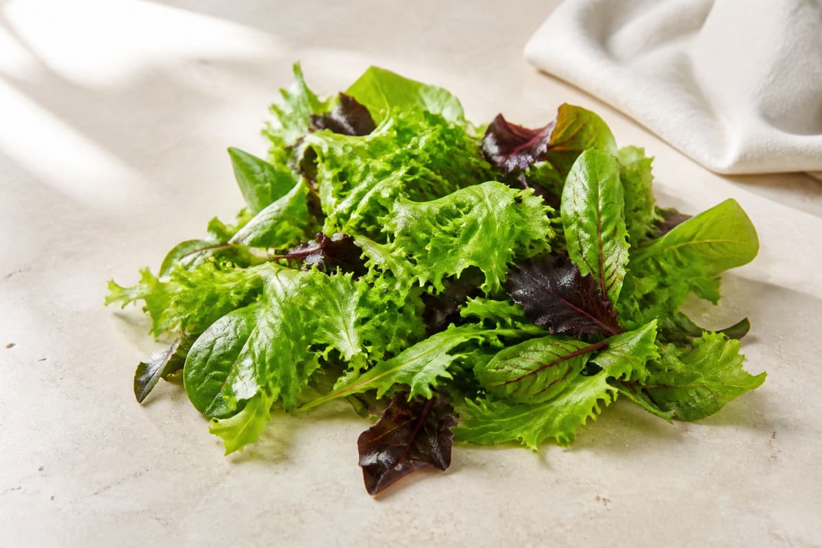 Salatblade fotograferet i naturligt nordisk køkkenlys