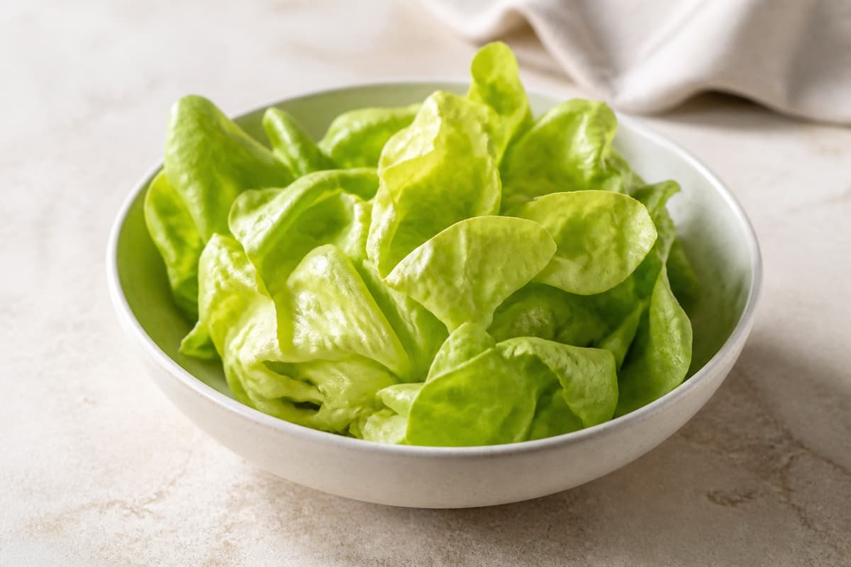Smørsalat fotograferet i naturligt nordisk køkkenlys