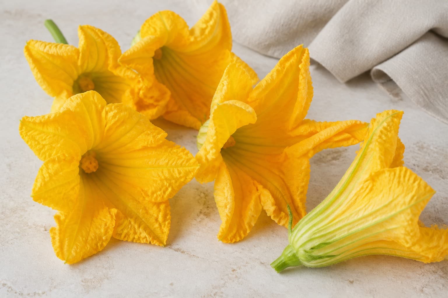 Squashblomster fotograferet i naturligt nordisk køkkenlys